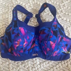 Panache Vibrant Floral Sports Bra - Blue and Pink